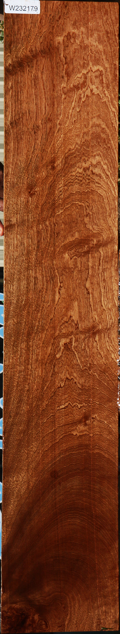 232179_1_3fc1a183-ebc5-4448-895b-d2e172a4921d 15104975077747