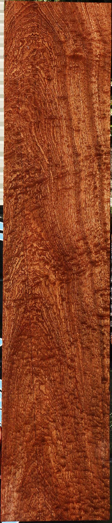 232185_1_750cc73a-d15b-4b0e-8798-dbb0bef41b9d 15104975470963