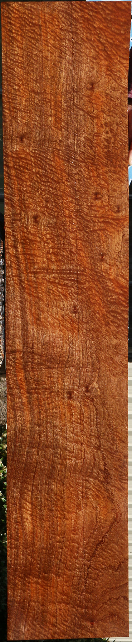 232190_1_3d12ef8b-1a8b-47c7-8839-41e358053230 15104975634803