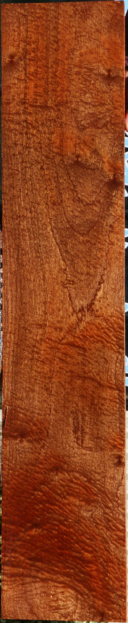 232195_1_cceb5414-7e61-4506-b5b8-8bd717d3d833 15104975798643