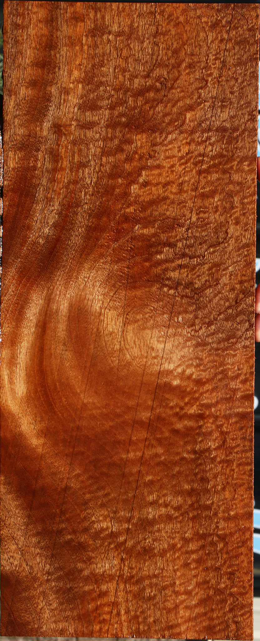 232212_1_163e13f8-0fdd-412b-a3ae-975cdd4585d8 15104976617843