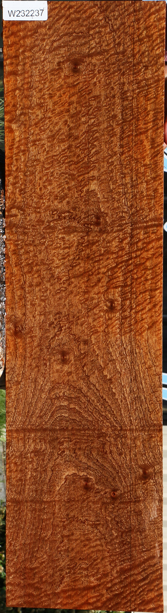 232237_1_6fd1e4fa-44b5-4ccc-846e-1d4724821cc4 15104977895795