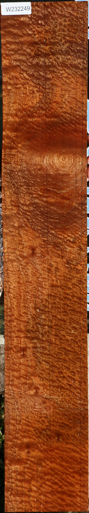 232249_1_f334b9c2-bfde-4e1f-acdf-19a623a60195 15104978485619