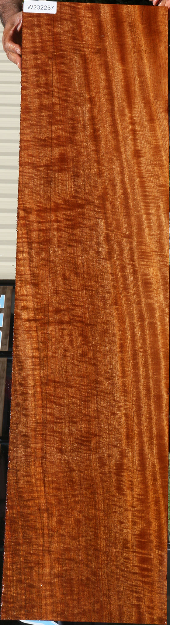 232257_1_319d9703-fa3a-44f7-8578-3a776c063065 15104978780531