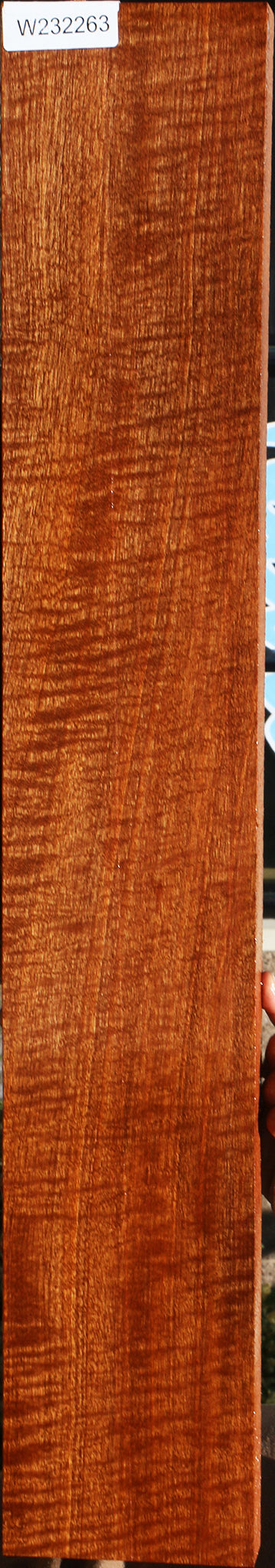 232263_1_57a03048-2c1d-4af5-aedb-1c47b0b096b4 15104979009907