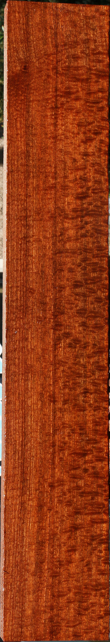 232264_1_7183ca54-d2c4-40d2-ba69-0675c1313dfc 15104979108211