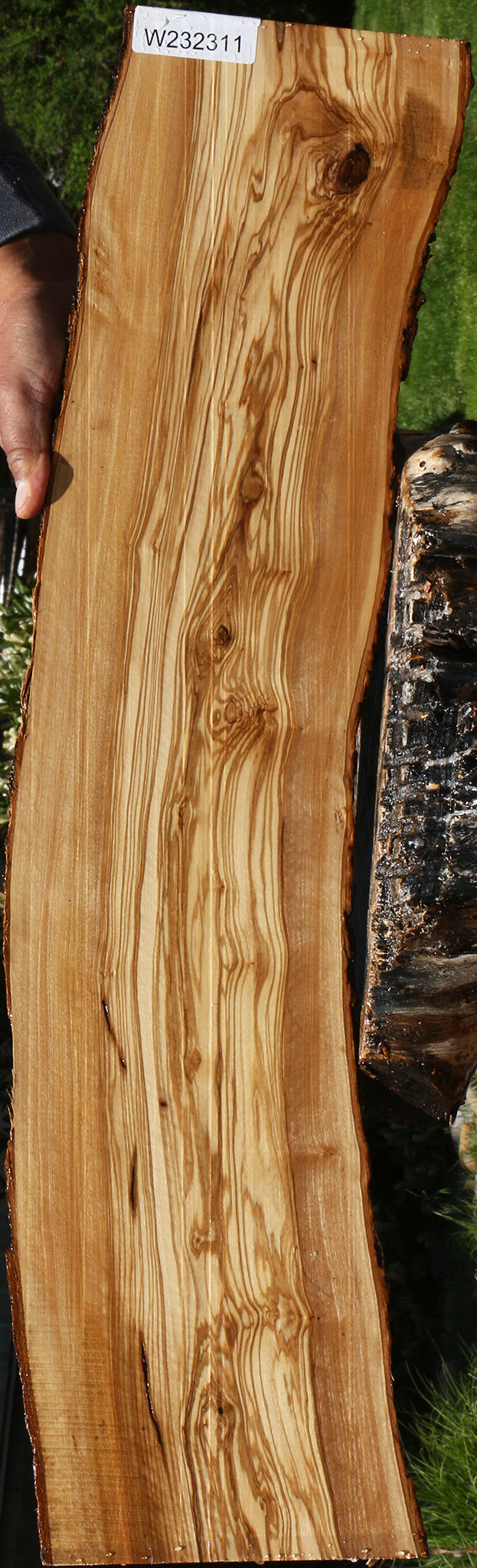 232311_1_cb7aee56-85c9-45c8-ae36-e473aba310b9 15104981827955