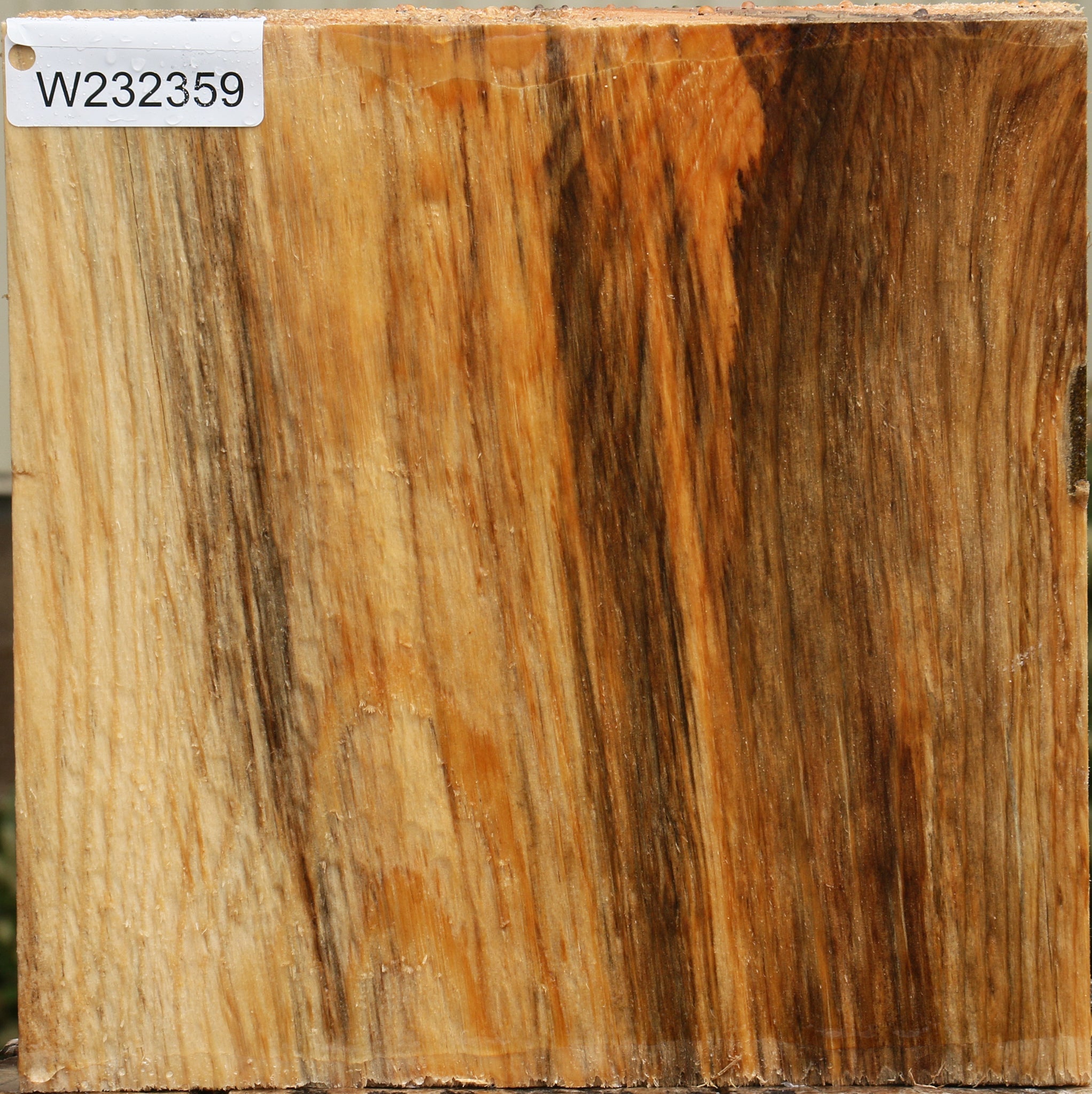 232359_1_a048d8aa-361a-4d36-a3ef-88e5b65478b0 15108221534579