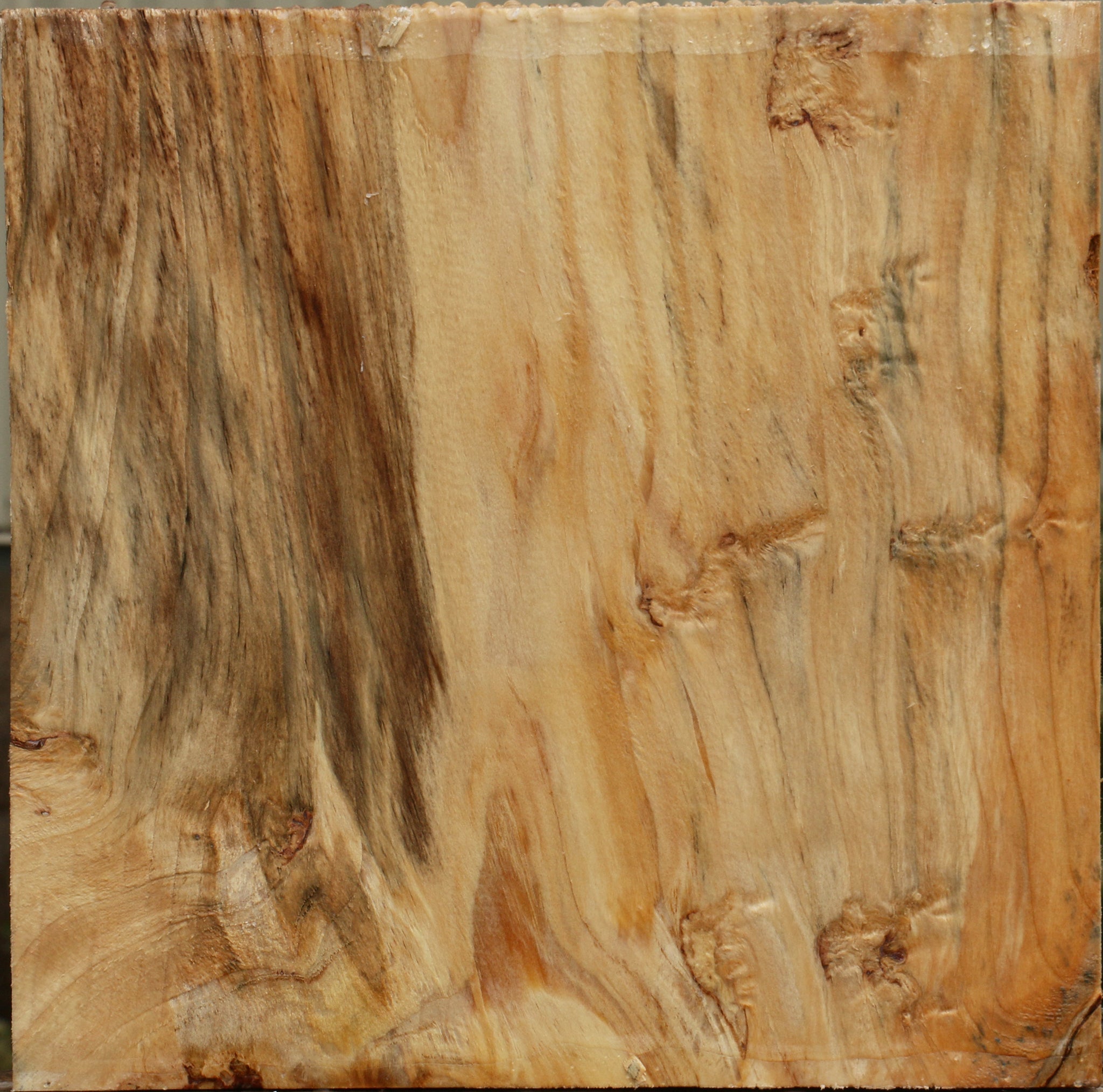 232365_1_dff5359e-db6f-4b9b-8803-6c6f0eede6da 15108221763955