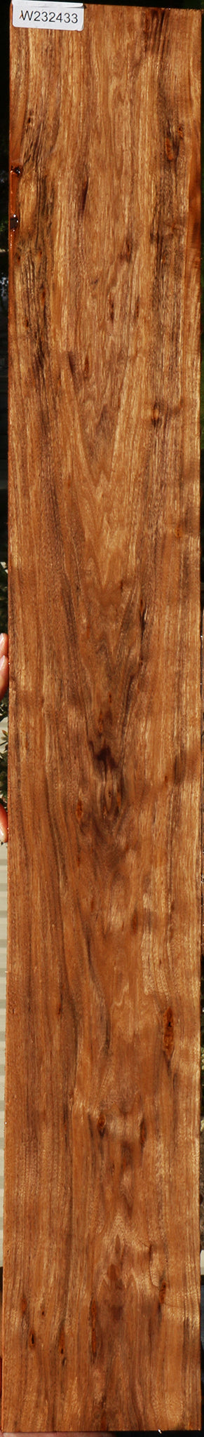 232433_1_7e670637-1ef0-4b82-ab4c-56b8bebc5997 15109804917107