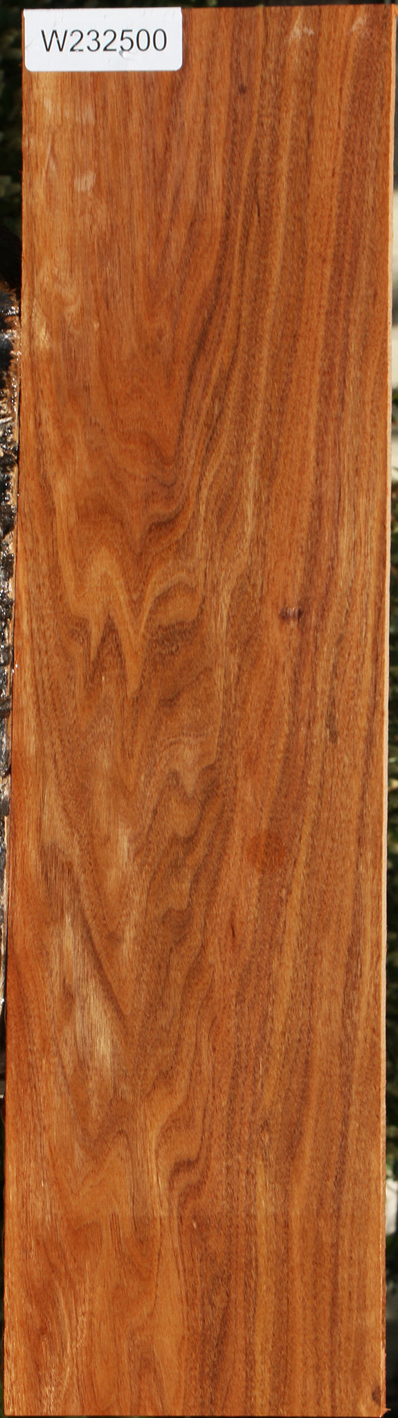 232500_1_47ba45e0-ff46-45c9-9a19-7eb482c9b0ce 15109814976883