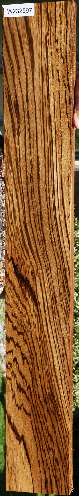 232597_1_5a54135c-2233-4f0f-878e-26c26b61ddc4 15109804425587