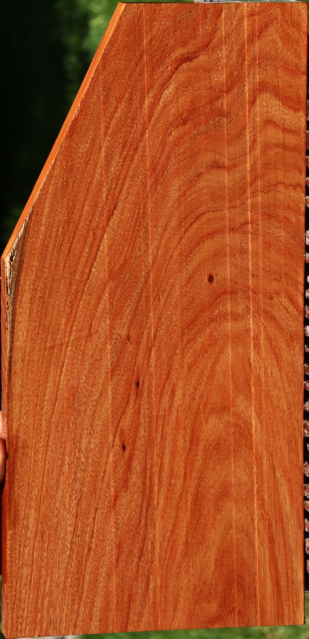 232886_1_289f0687-4554-4fb2-90e8-001a67edd9cc 15113167995251