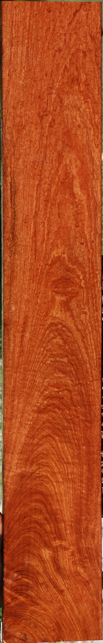 232909_1_fe2d35d4-6fd9-48ef-a764-9d7a8687d7f8 15113169338739