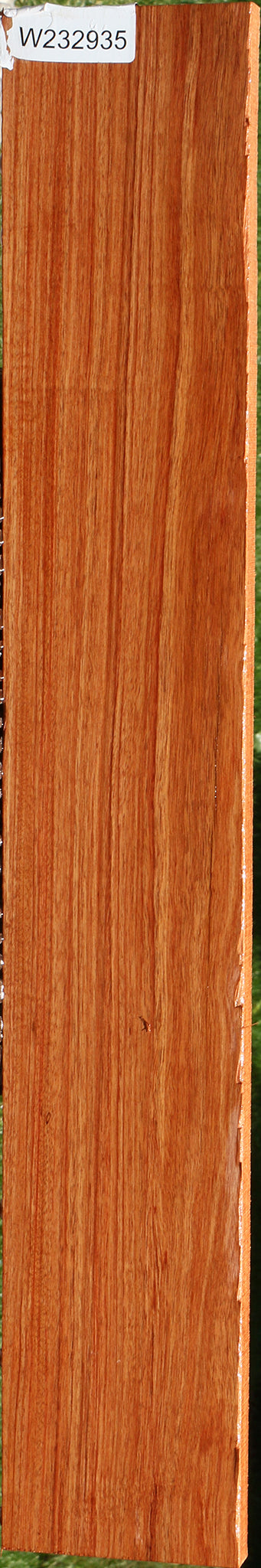 232935_1_57db0355-1cd0-41dc-aaec-2978745f3b7d 15113170813299