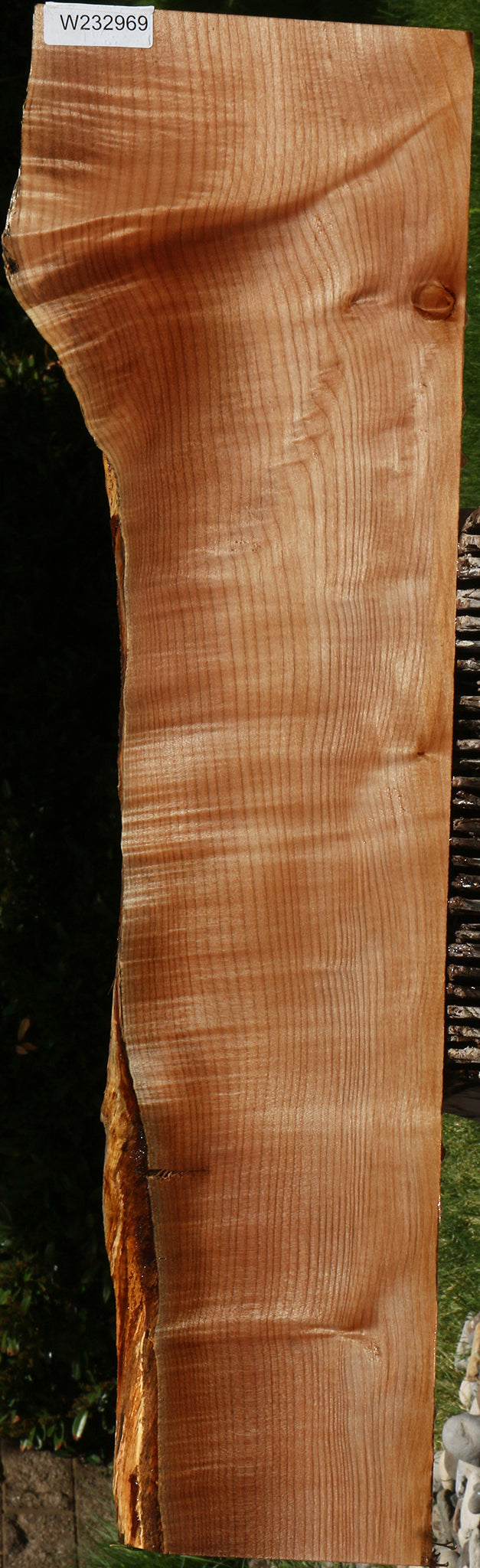 232969_1_92b10032-c138-4181-92f3-2df691688d33 15113172713843