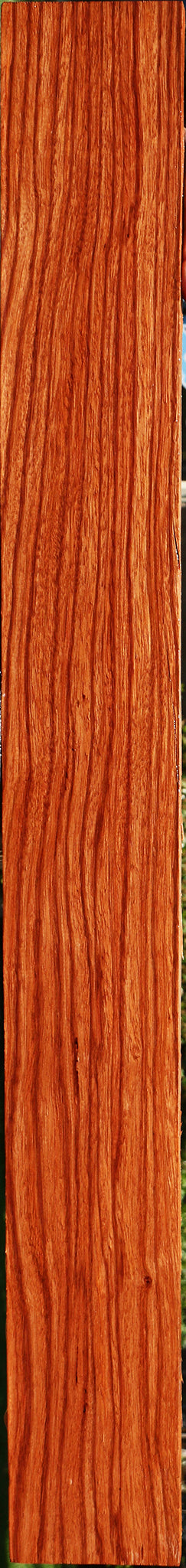 233388_1_515ab58e-6275-468d-9c09-841e4e685f9e 15113088532851