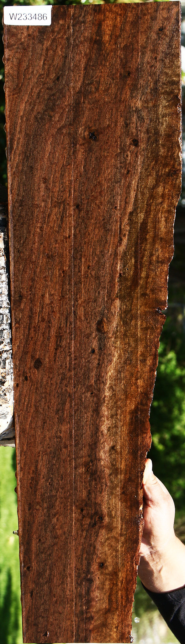 233486_1_672f4671-219f-4511-825c-0830f9d3afa2 15113602728307