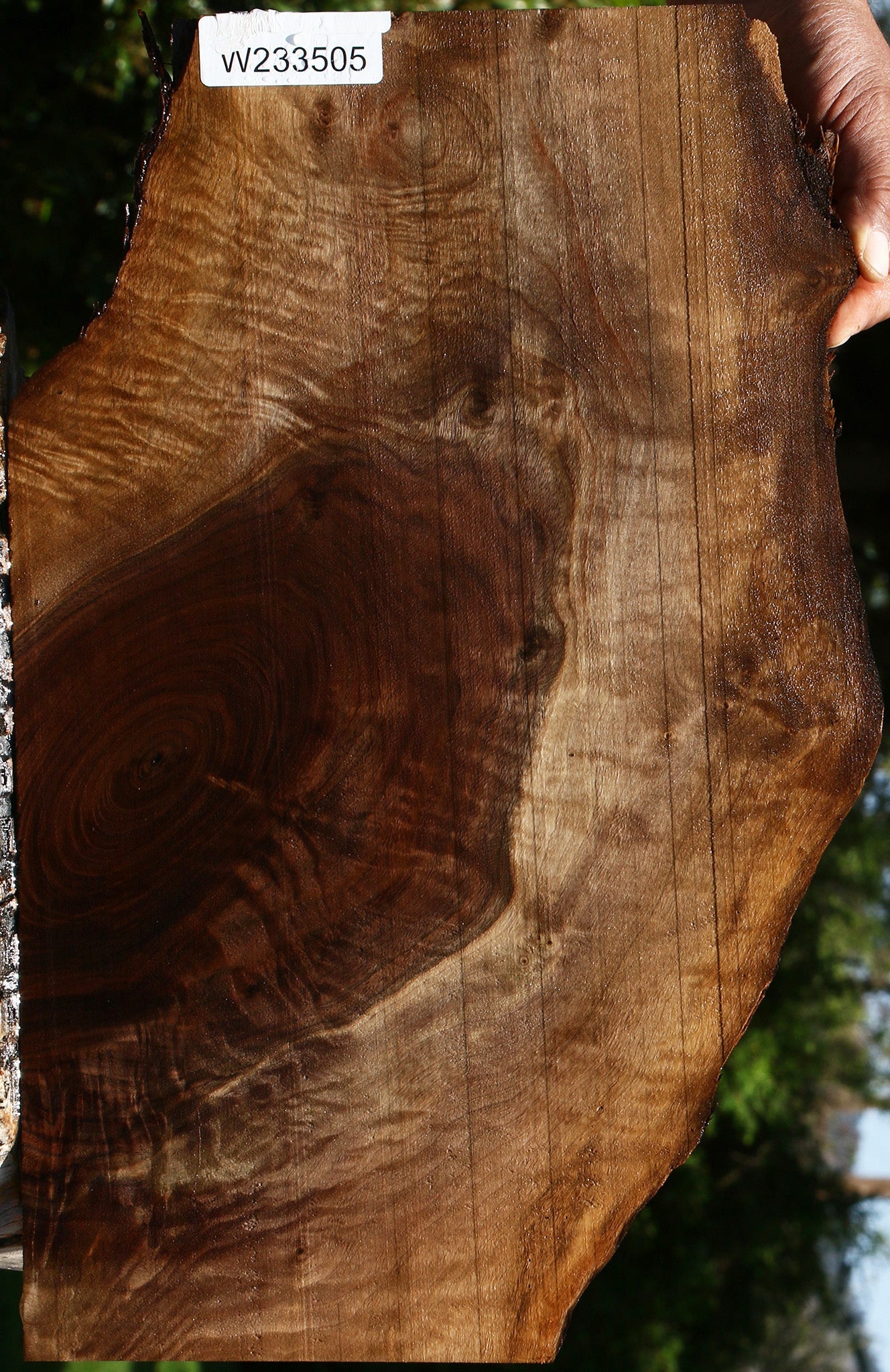 233505_1_96179913-826a-4770-83e0-2d7500fe24e6 15113605644659