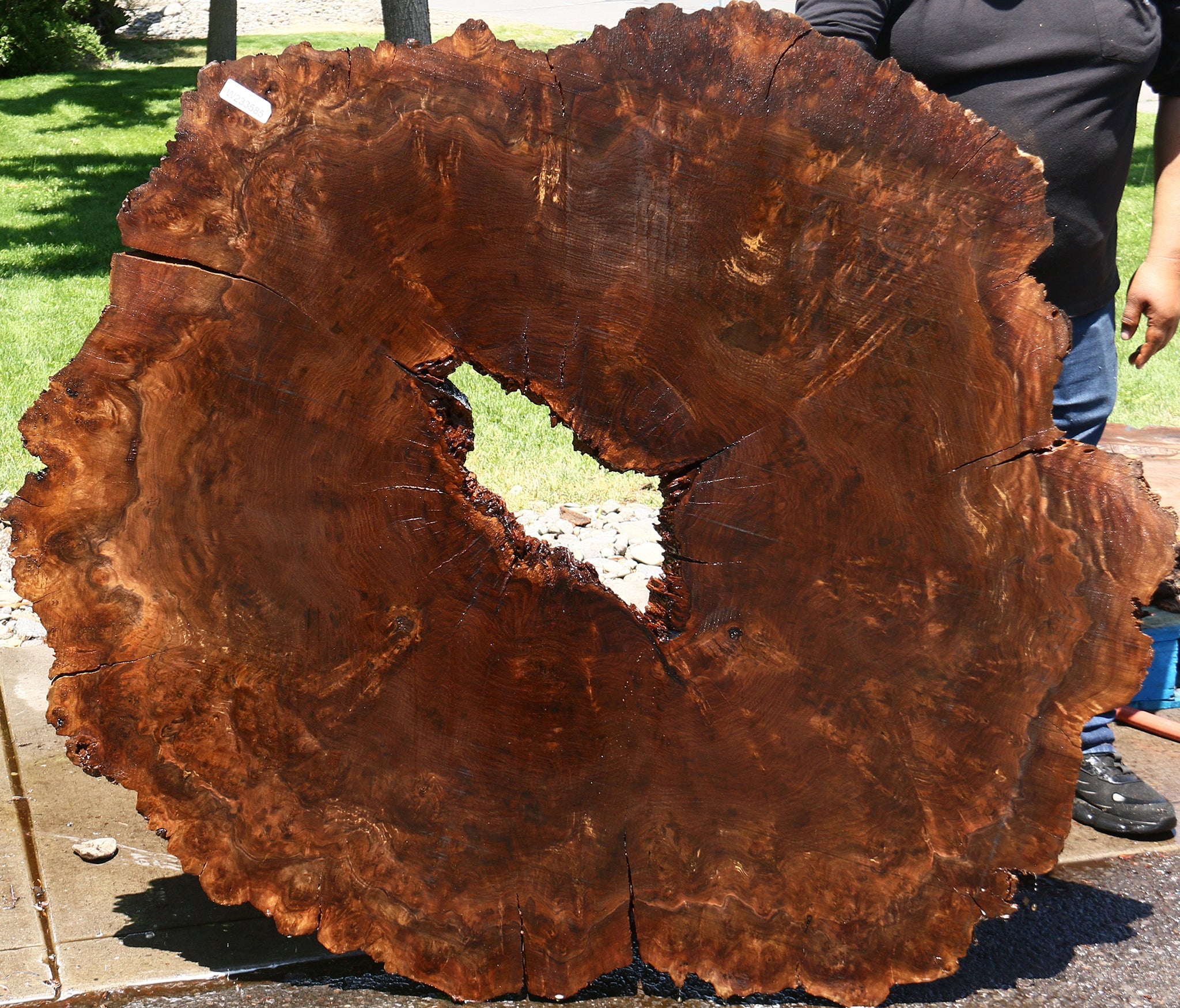 233585_1_31954459-a699-46ca-b7fb-1cb821cfc161 15113610461555