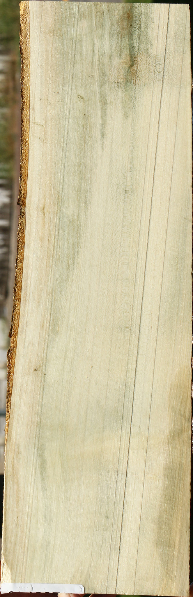 233740_1_0b1668c6-e17f-4bbd-b26d-3db95e631aef 15125932736883