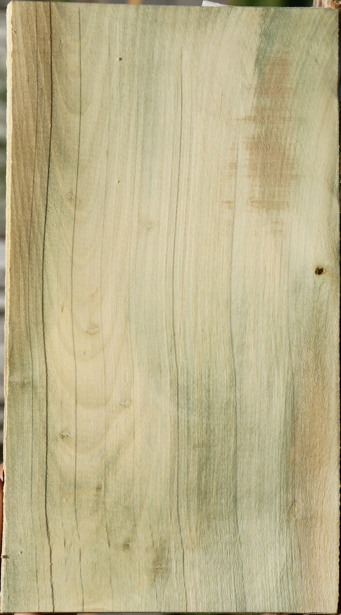 233755_1_fc7863b4-8971-41ed-97b2-09424abaa175 15125934145907