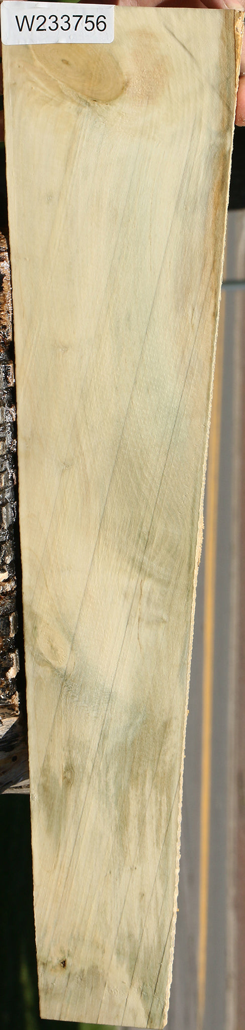 233756_1_47bff75a-3424-472f-8bd7-86cb61022114 15125934244211