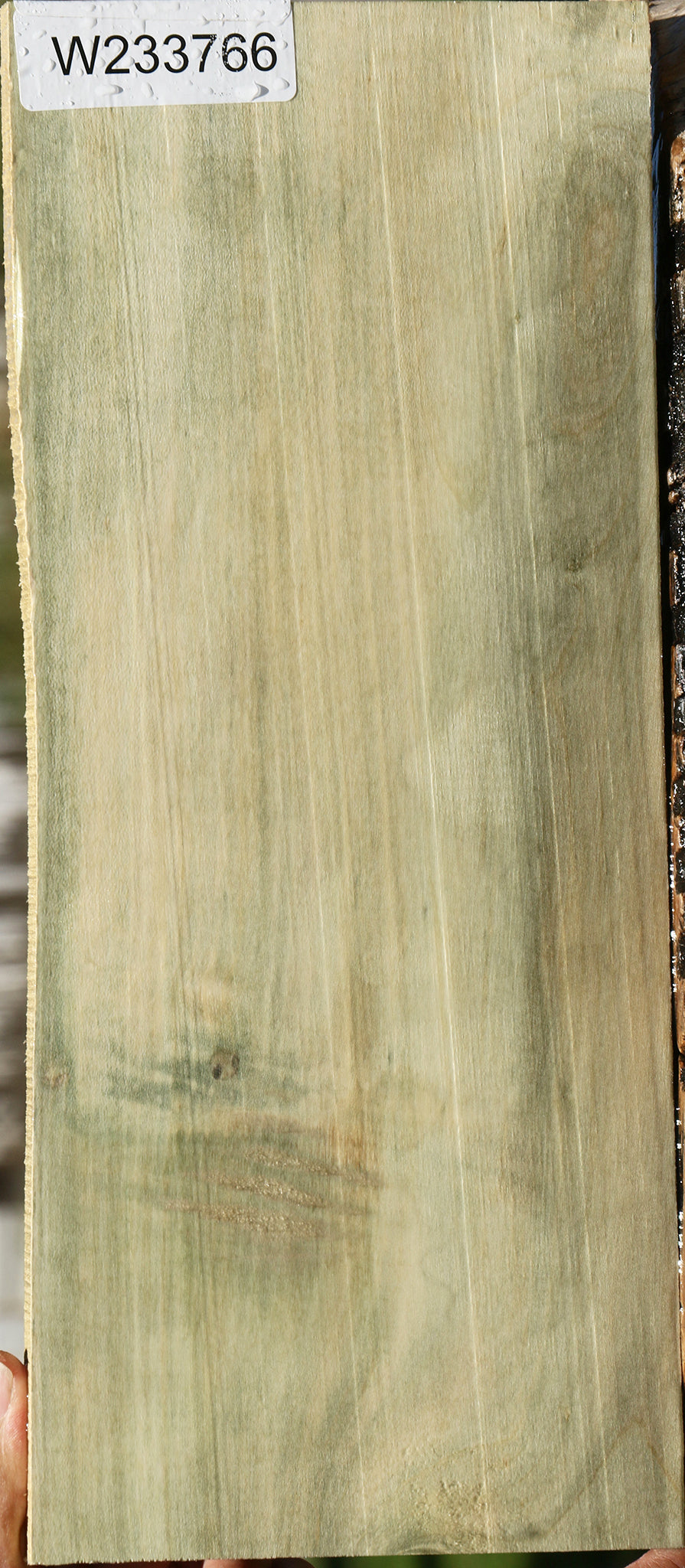 233766_1_2c883642-05b4-4372-a81e-cadcd810e81c 15125935030643