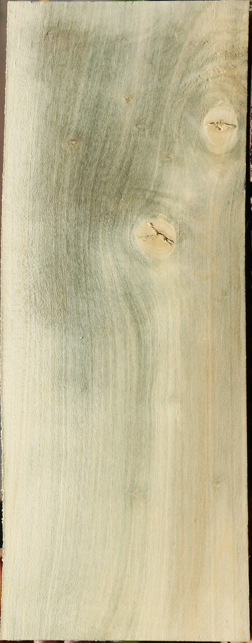 233778_1_9bf4ff6f-0130-477c-9cdc-6ad5433f127b 15125935849843