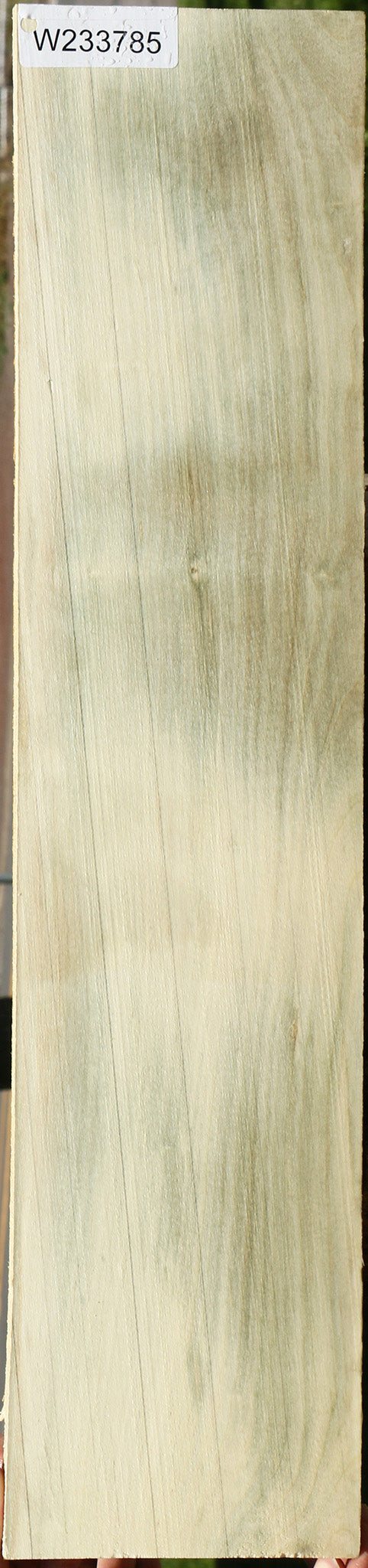 233785_1_2c20e61e-42c5-4127-bc7b-60221bac1437 15125936341363