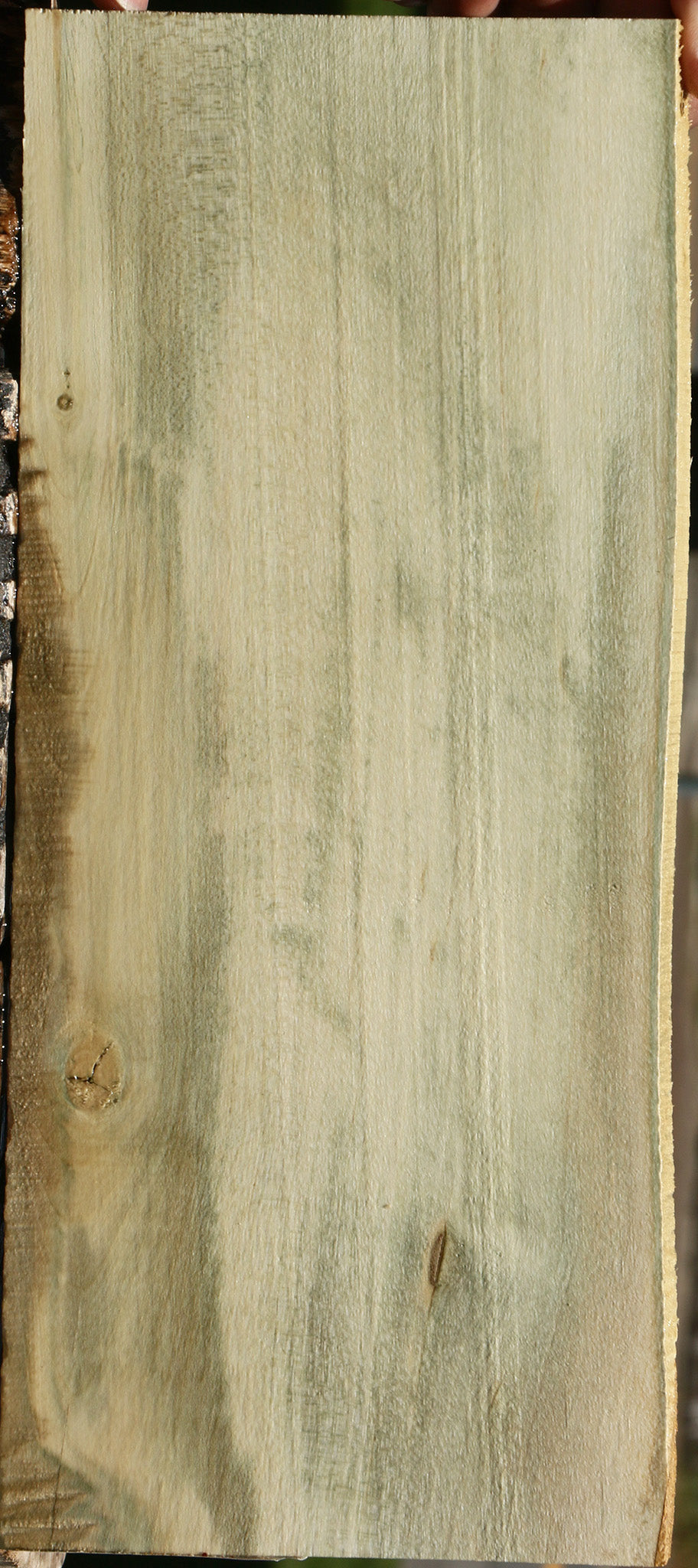 233797_1_2b1c8f29-b427-4ae9-8946-cb665c13e726 15125937095027