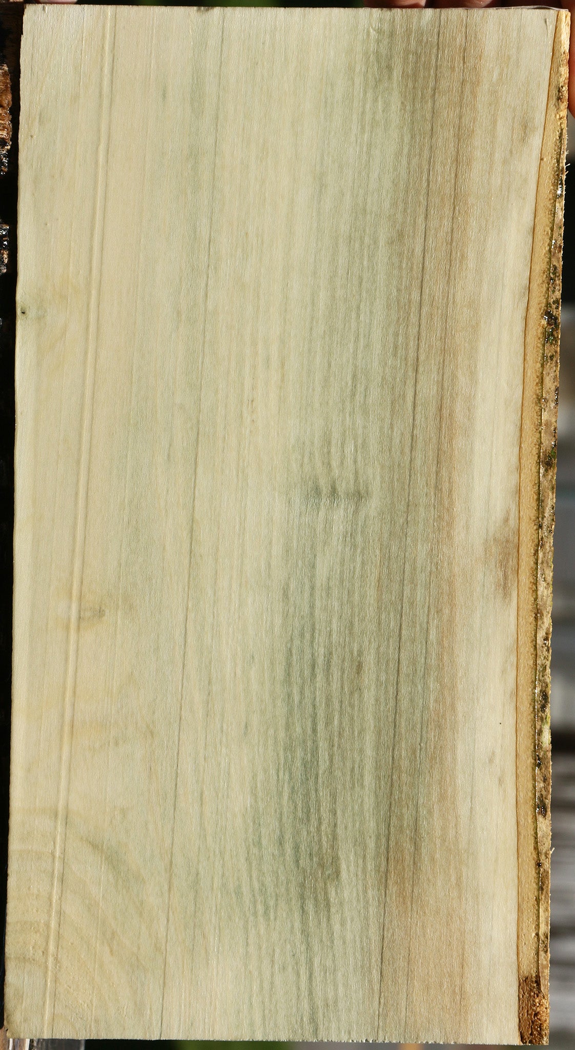 233804_1_fb31e9c1-dc7e-4cfb-932c-f80371f9a4d2 15125937553779