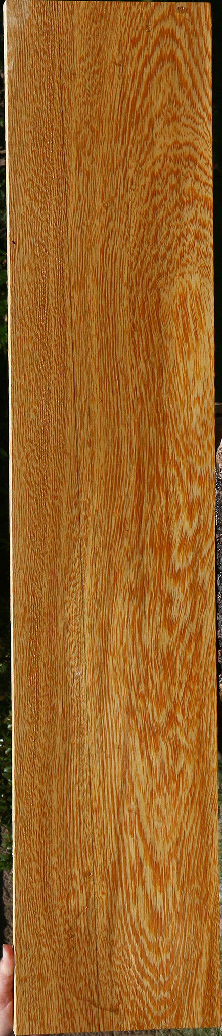 233949_1_3d743829-96ad-40c8-82fb-42bcf587c4f5 15125950857587