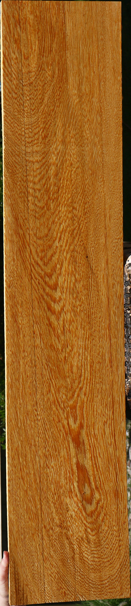 233951_1_6fd82fbe-8fe1-4fd1-9f1b-61f3eecbe92f 15125951054195