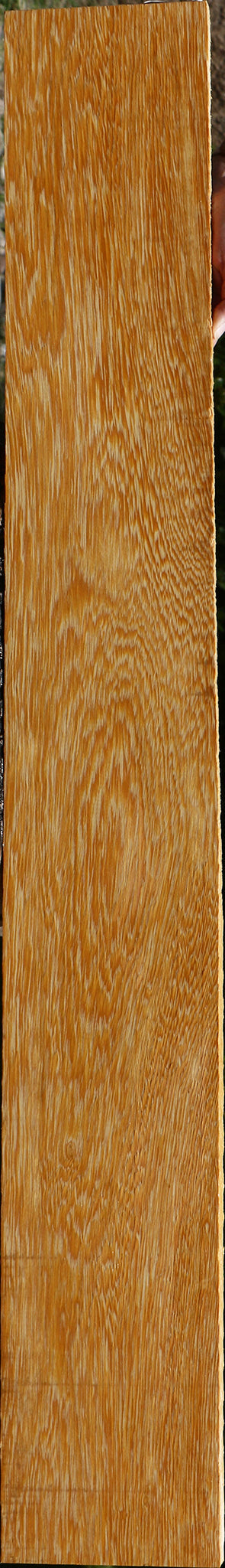 233958_1_5814ebfa-9238-4ea1-9272-de99a5eb66af 15125951480179