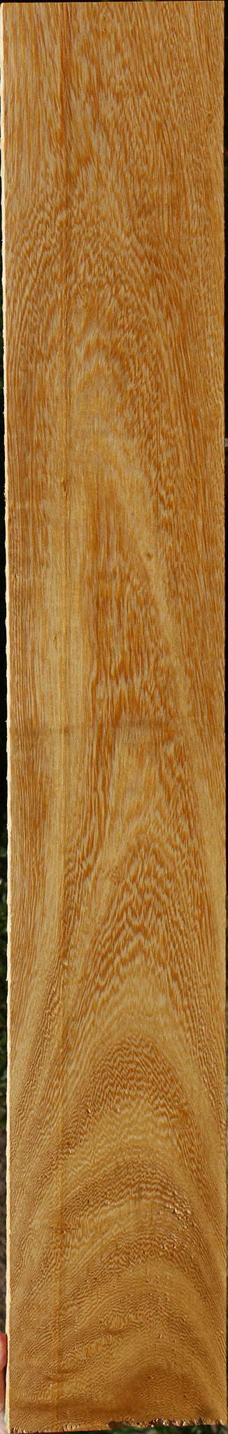 233961_1_ebefca00-1dcf-4a7d-9877-5a5b772d9c63 15125951709555