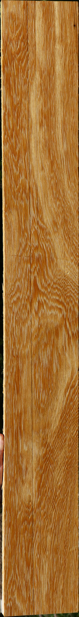 233970_1_35e224e0-68d0-4bec-aad5-e7b910891744 15125952954739