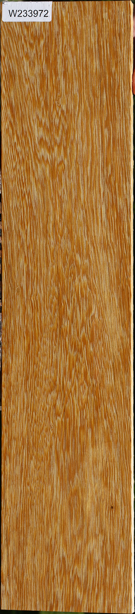 233972_1_23d0899f-369b-4ea7-aff0-c6947006a5f9 15125953184115