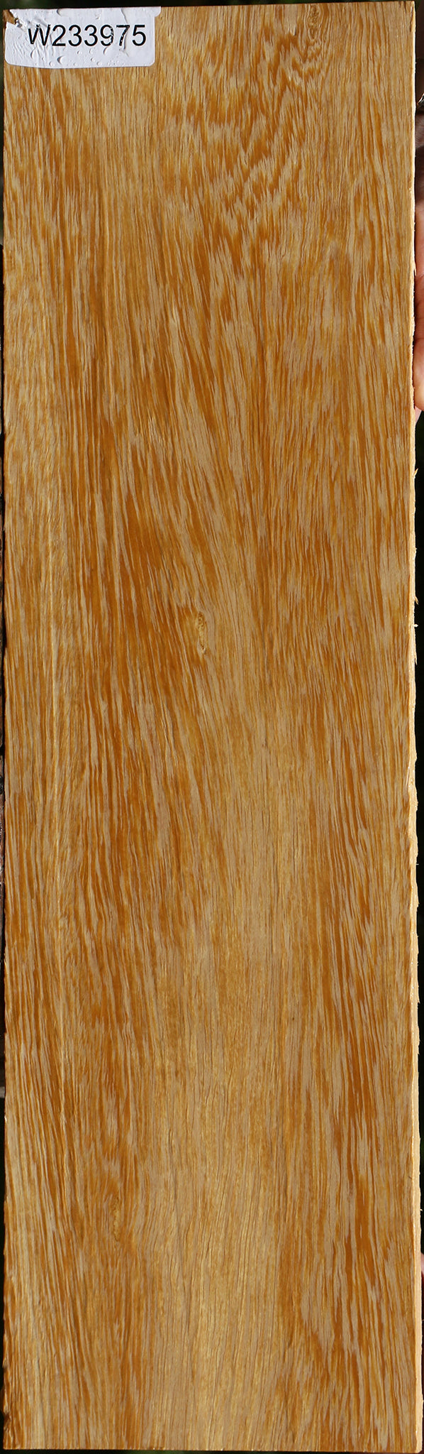 233975_1_fac58293-960f-48e6-aa1b-b737da46331a 15125953544563