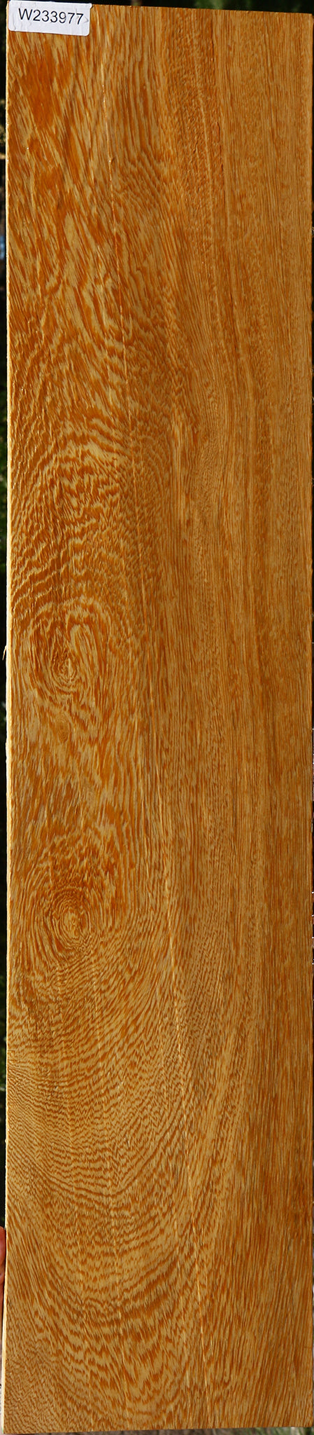 233977_1_03ced603-cc4e-4564-8002-8de2ece54602 15125953708403