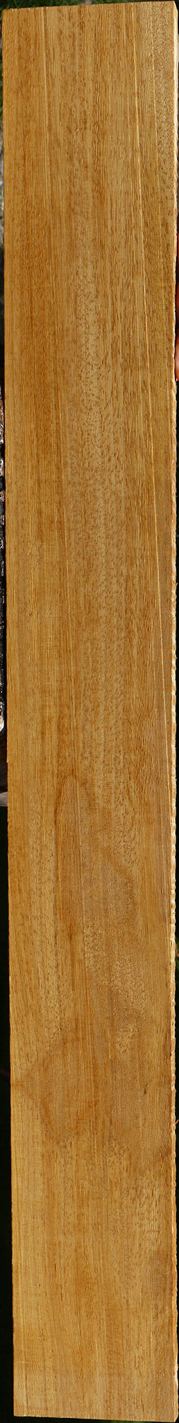 233986_1_28ab3a68-cb21-448b-a1ce-3afc39434cd4 15125954363763