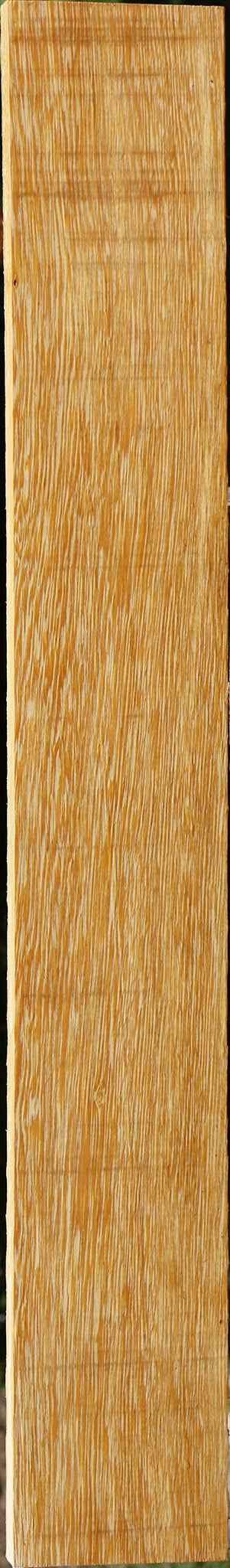 233988_1_39dbdc16-662c-4b8c-ab31-93ea4f671f78 15125954494835