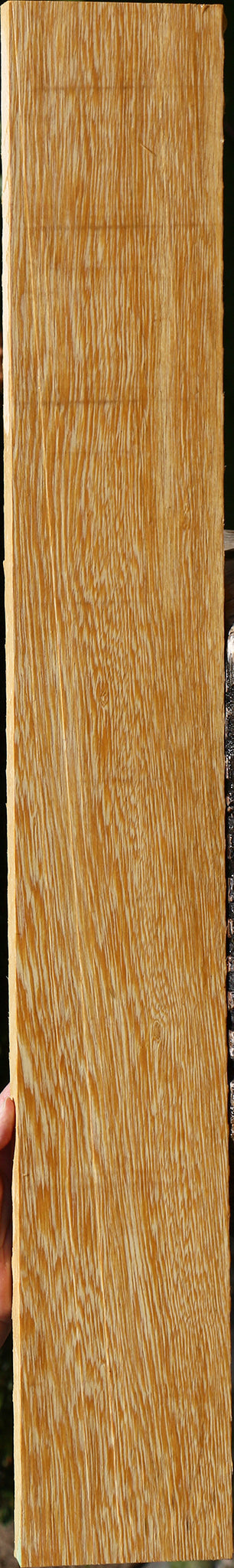 233989_1_0109659f-5fbb-4118-a18a-772c5965a28f 15125954560371