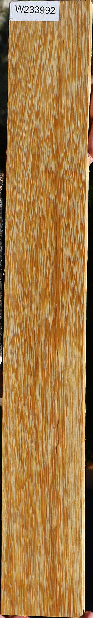 233992_1_c875a35e-9780-4aae-97f7-7f786dbb3190 15125954724211