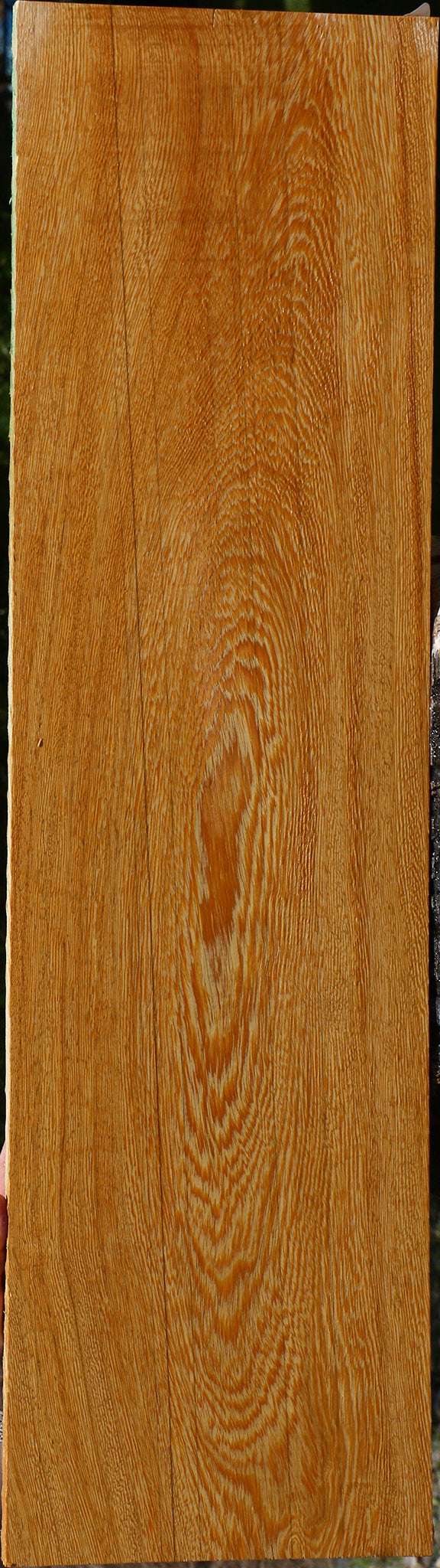 233994_1_b14166fb-c35d-4710-8c80-f3469701f894 15125954822515