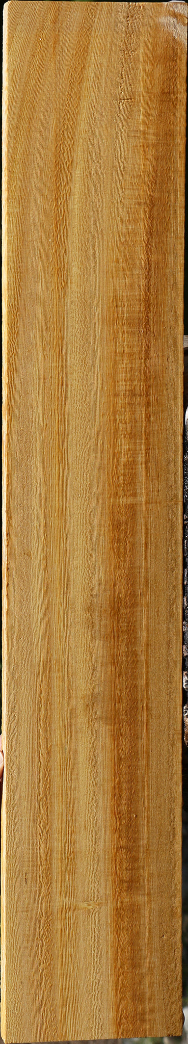 233995_1_1e84aede-4715-43eb-a10d-68037709f4c6 15125954888051