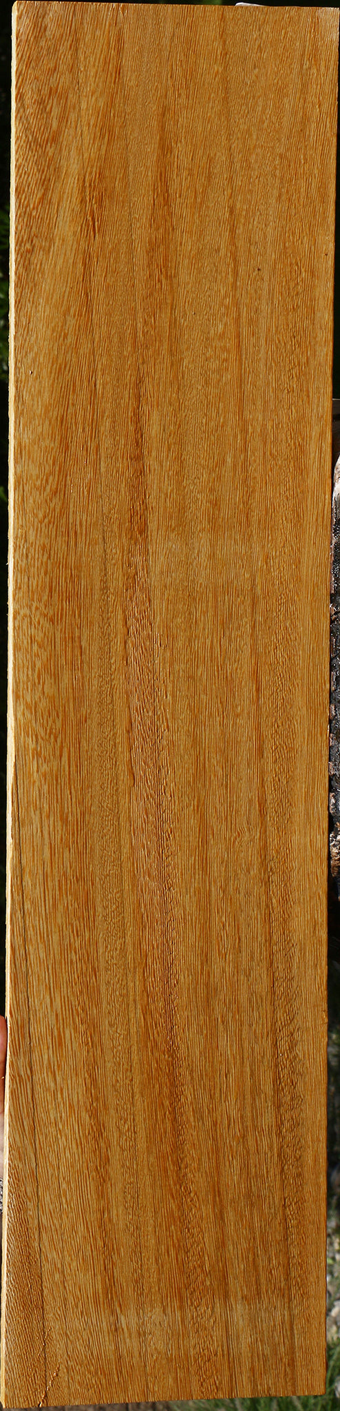 233996_1_72fc729d-598b-432f-82cd-6b133a196f82 15125954920819