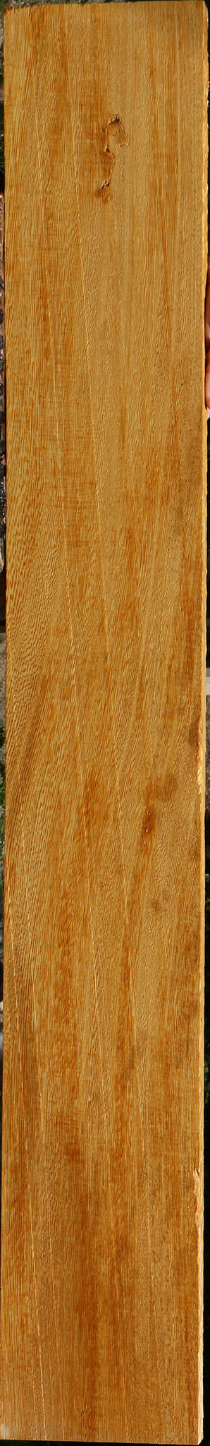 234009_1_052ca922-1a15-4ef8-8eec-08ecabb05931 15125955838323