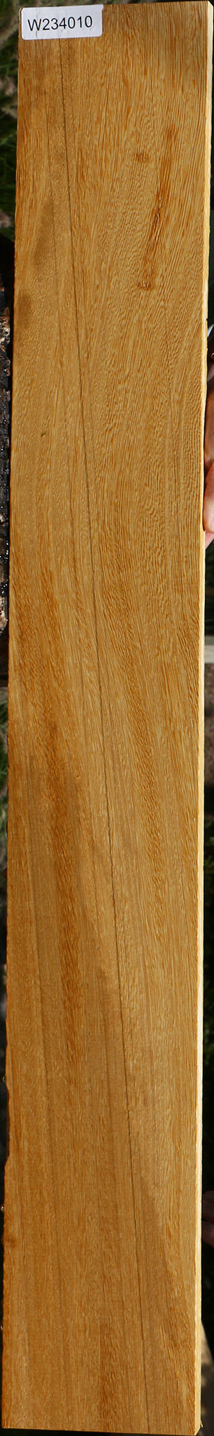 234010_1_46cb5f28-71ca-42f9-8469-13aa7309696c 15125955903859