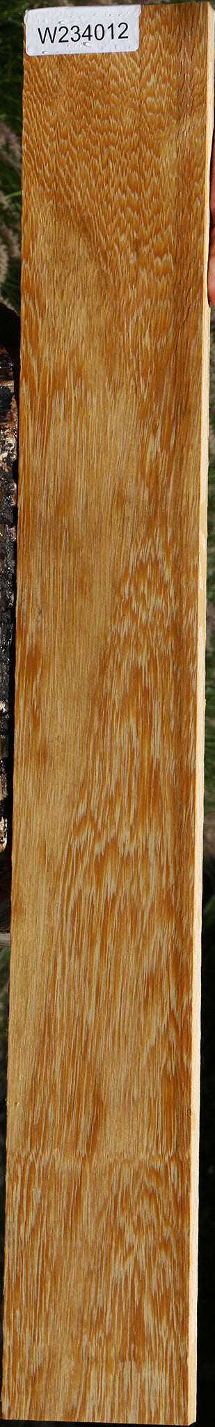 234012_1_d2c46236-b3e0-4733-98e4-a64b55476ea9 15125956100467